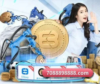 五大服务分区,信息按项目分类 | BANDAO SPORTS